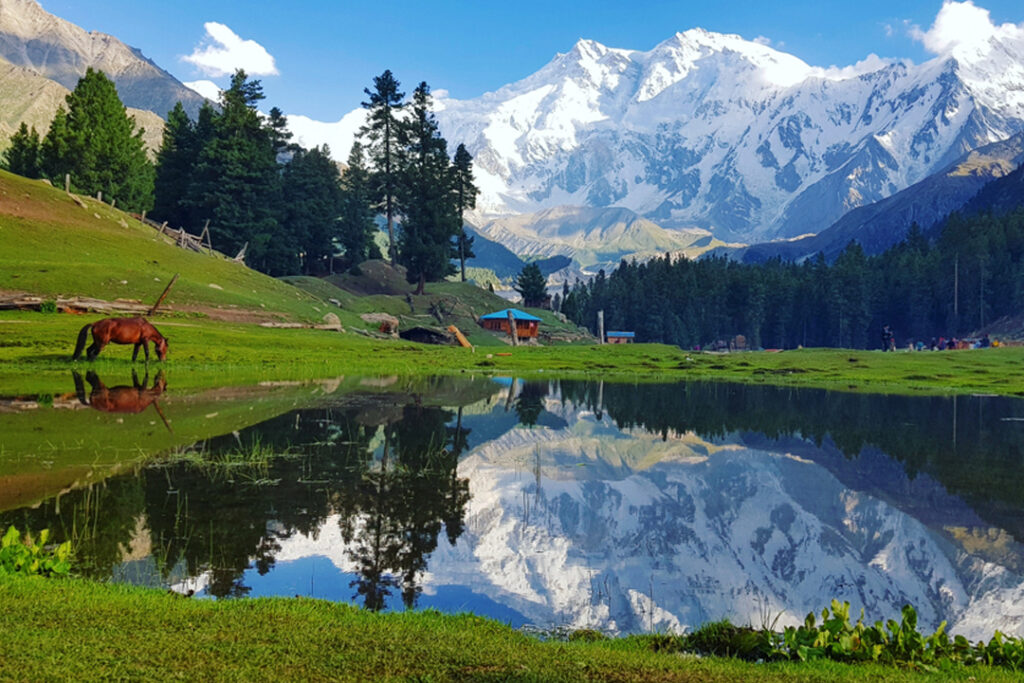 Fairy-Meadows-skardu tour