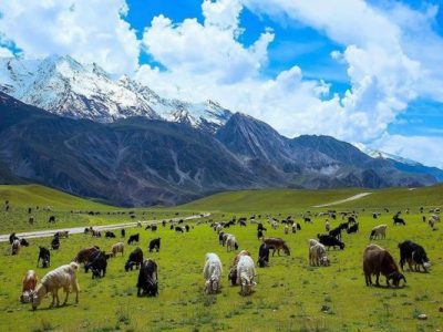 trekking tours in pakistan